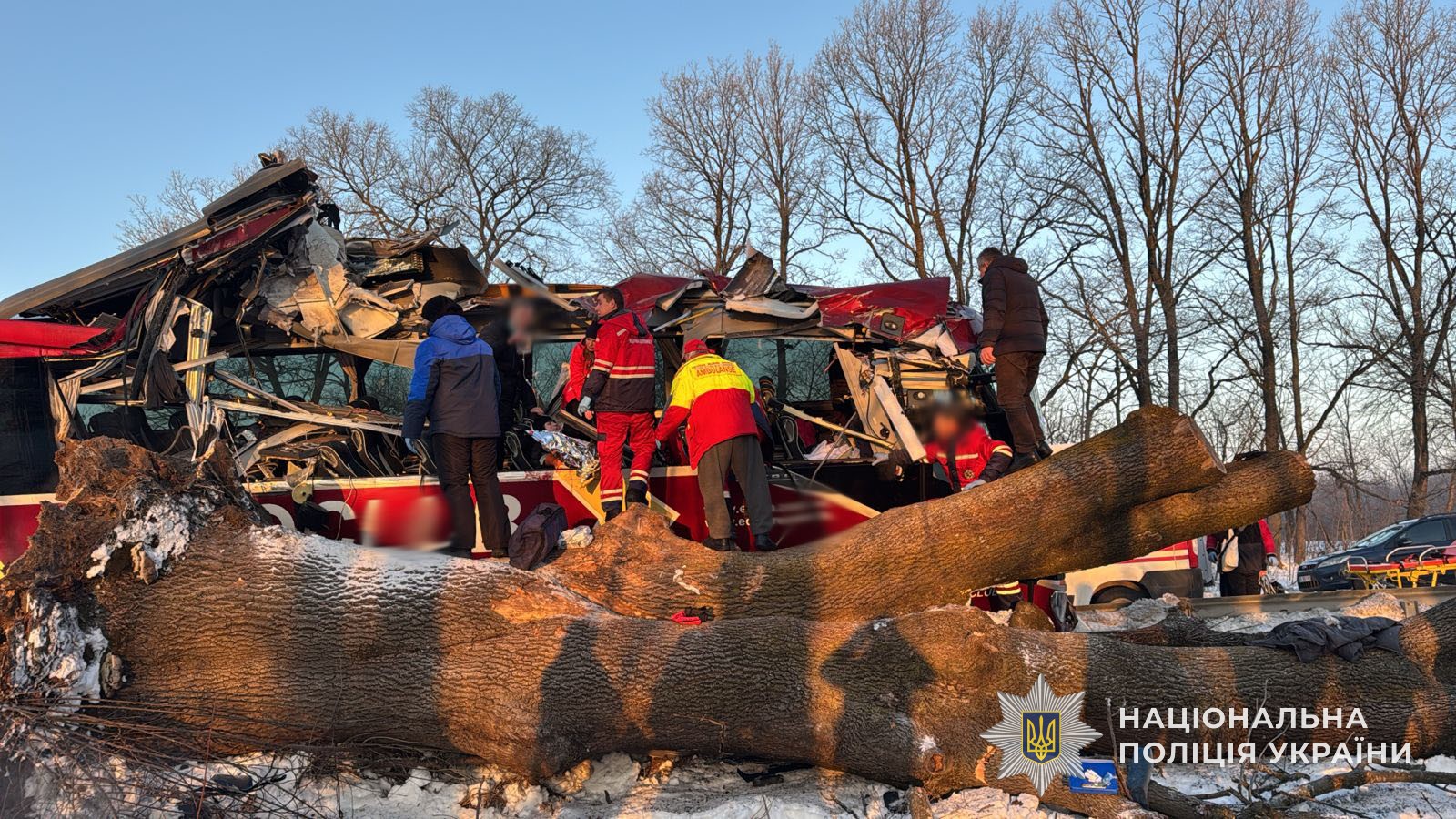 616807228 1314569254048176 4107105954391297574 n