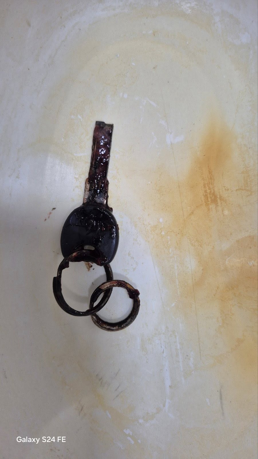 На Тернопільщині жінка проковтнула ключ (ФОТО) 2 617054004 122118948867041188 2645784550050934597 n