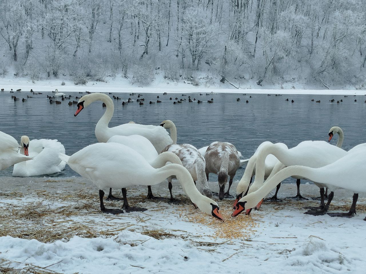 617758293 1196560092655191 1456813984928637559 n