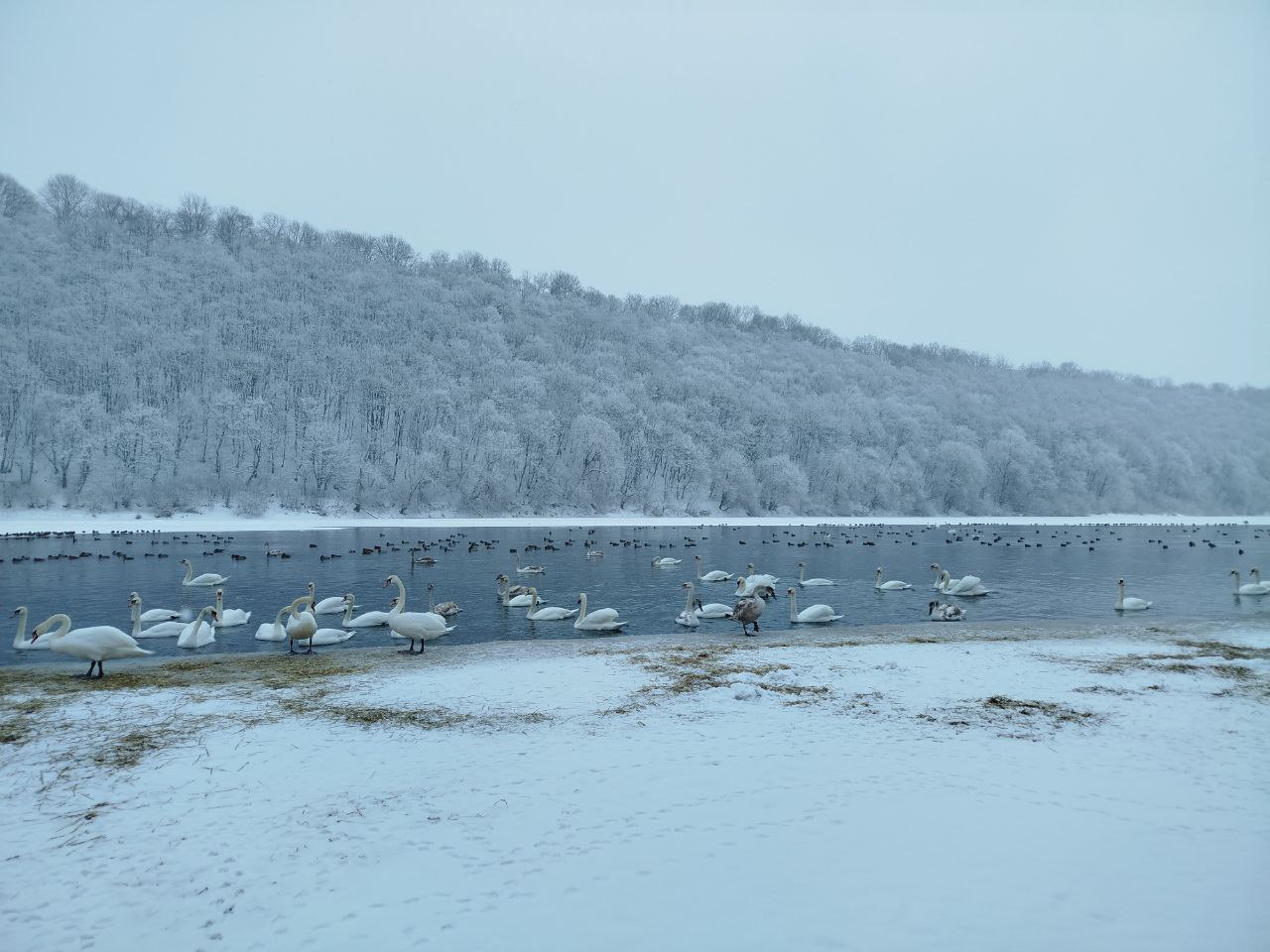 618661219 1196560099321857 9103778385820519788 n