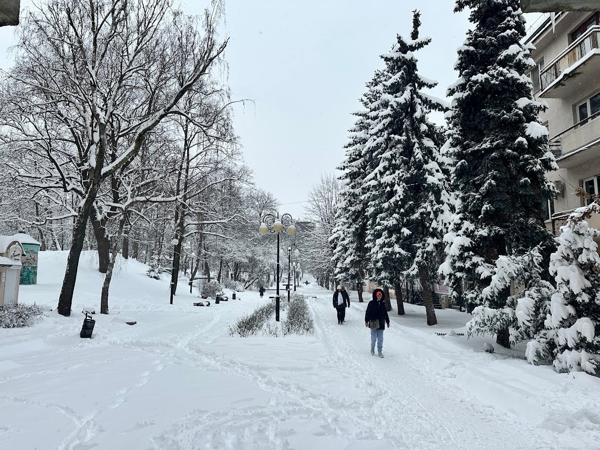 8e6f6173 a076 40b2 b625 1068c16899c6