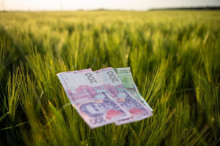 Стало відомо, яка середня вартість оренди державної землі 3 Стало відомо, яка середня вартість оренди державної землі