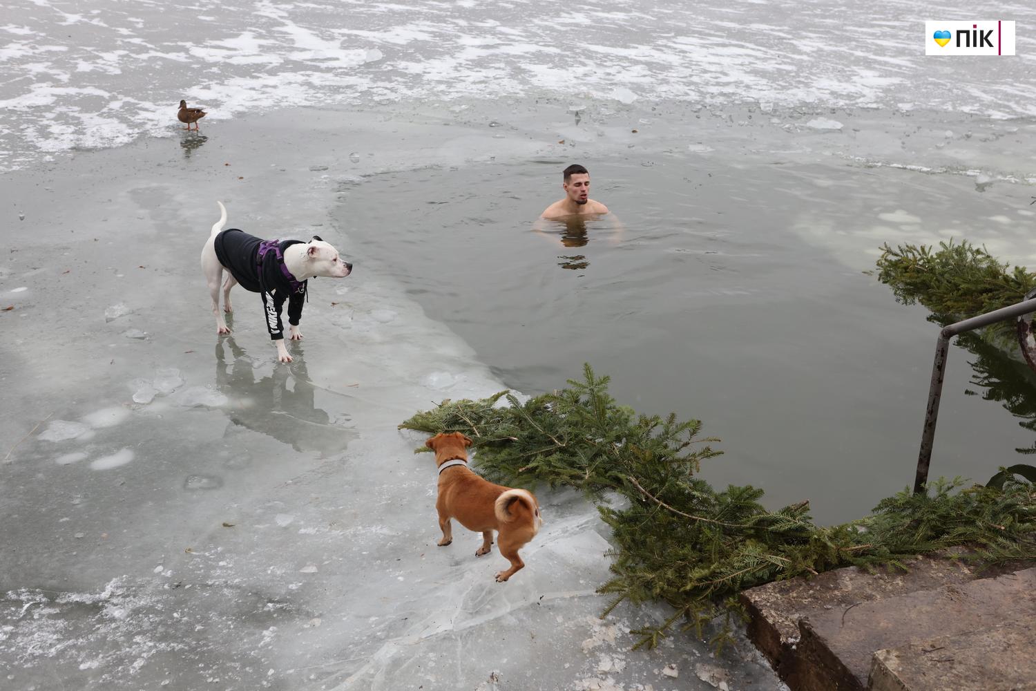 Люди Прикарпаття: крижана вода та мороз не злякали франківців на Йордана (ФОТО) 14 G71A0046 novyj razmer