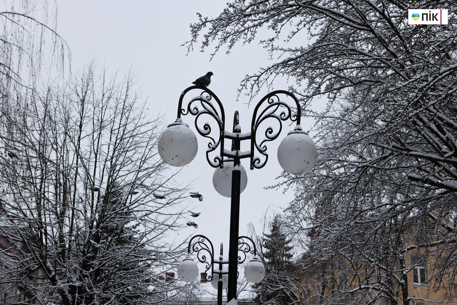 Люди Прикарпаття: зимові дитячі забави у Франківську (ФОТО) 8 G71A3868 resize