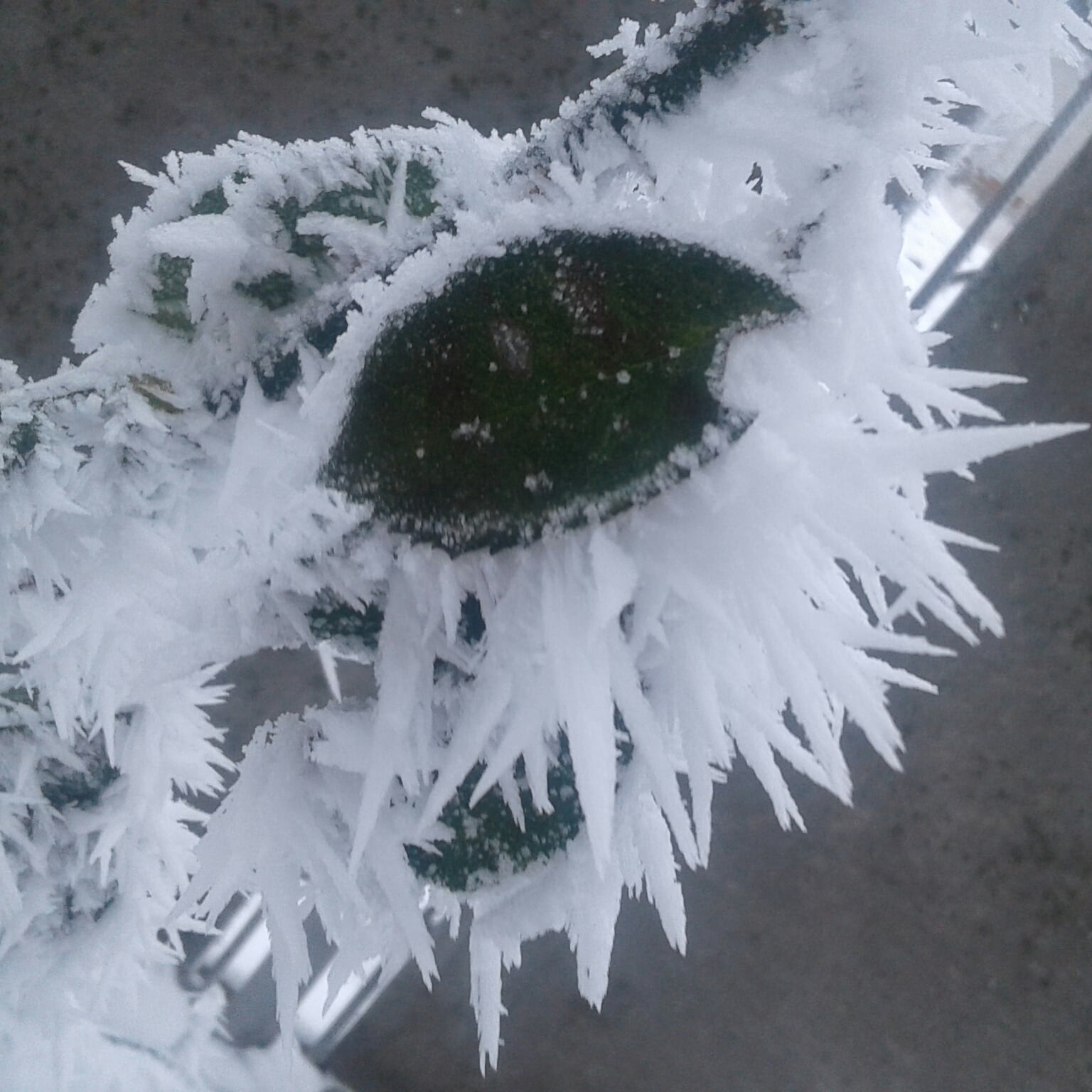 bf2b4c22 8a45 4a4c 8608 2afe7a8941ba