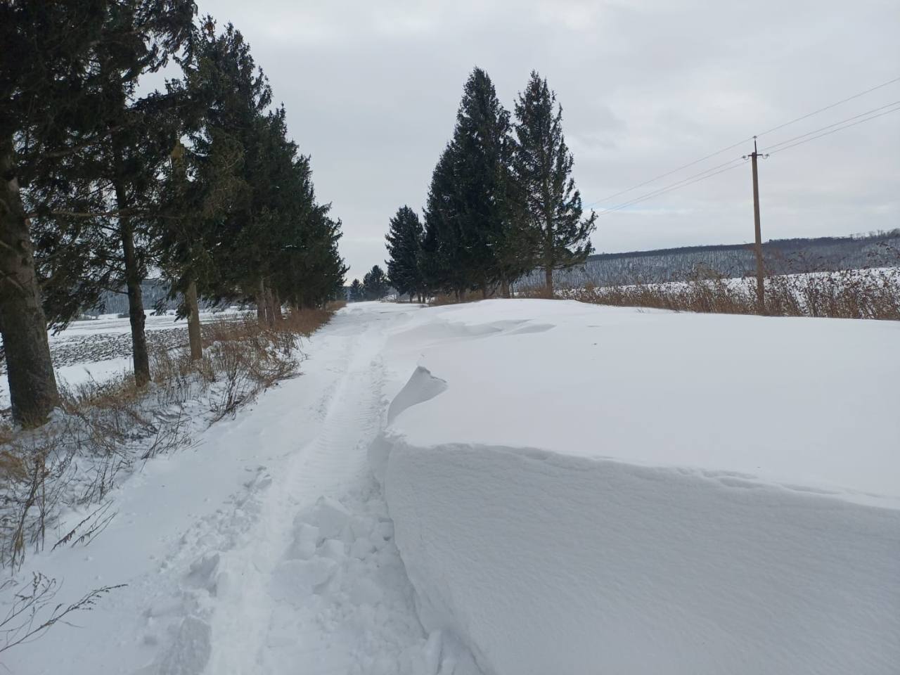 photo 2026 01 09 16 09 46