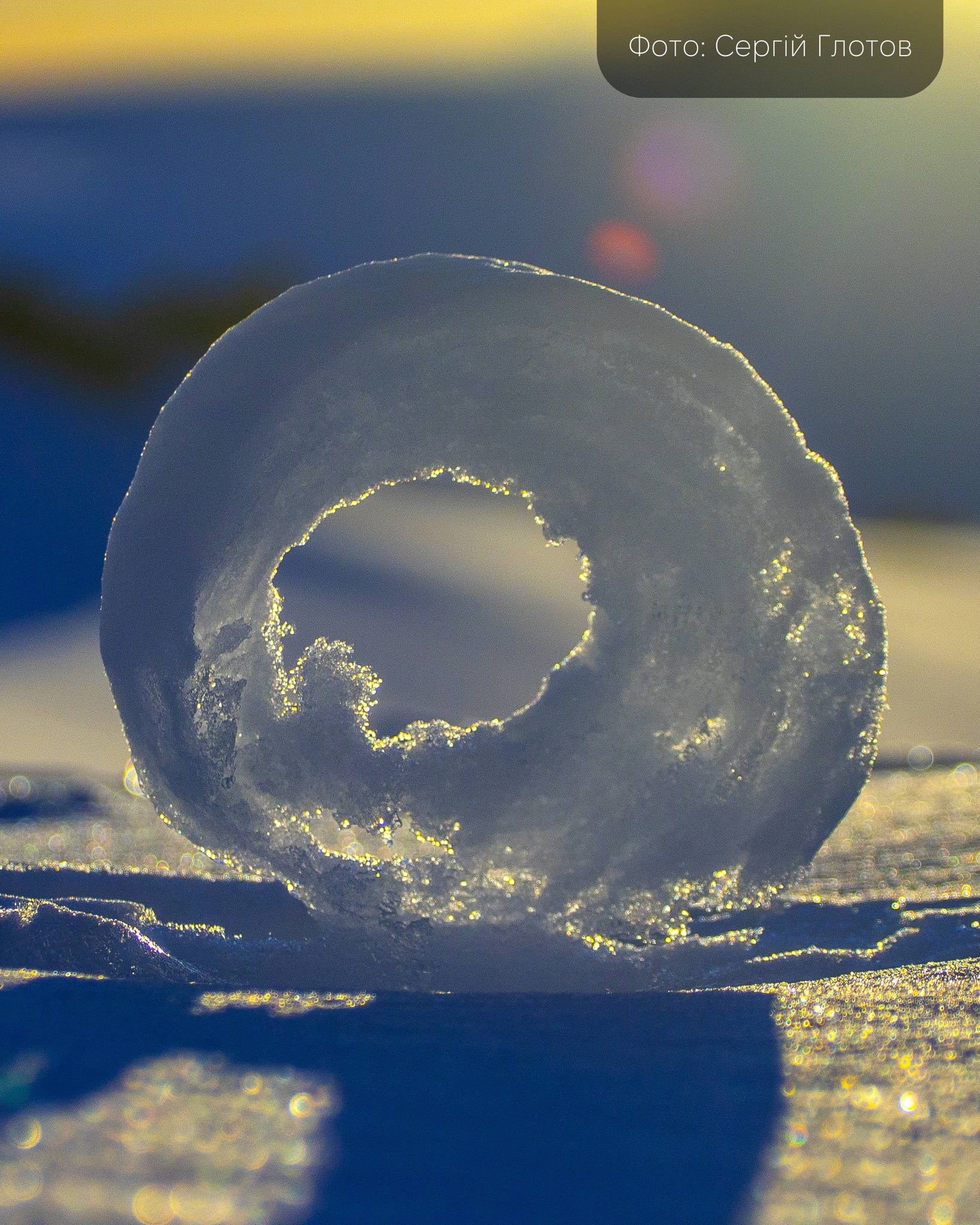 288c662e b34c 464f 804e 1293747b2555