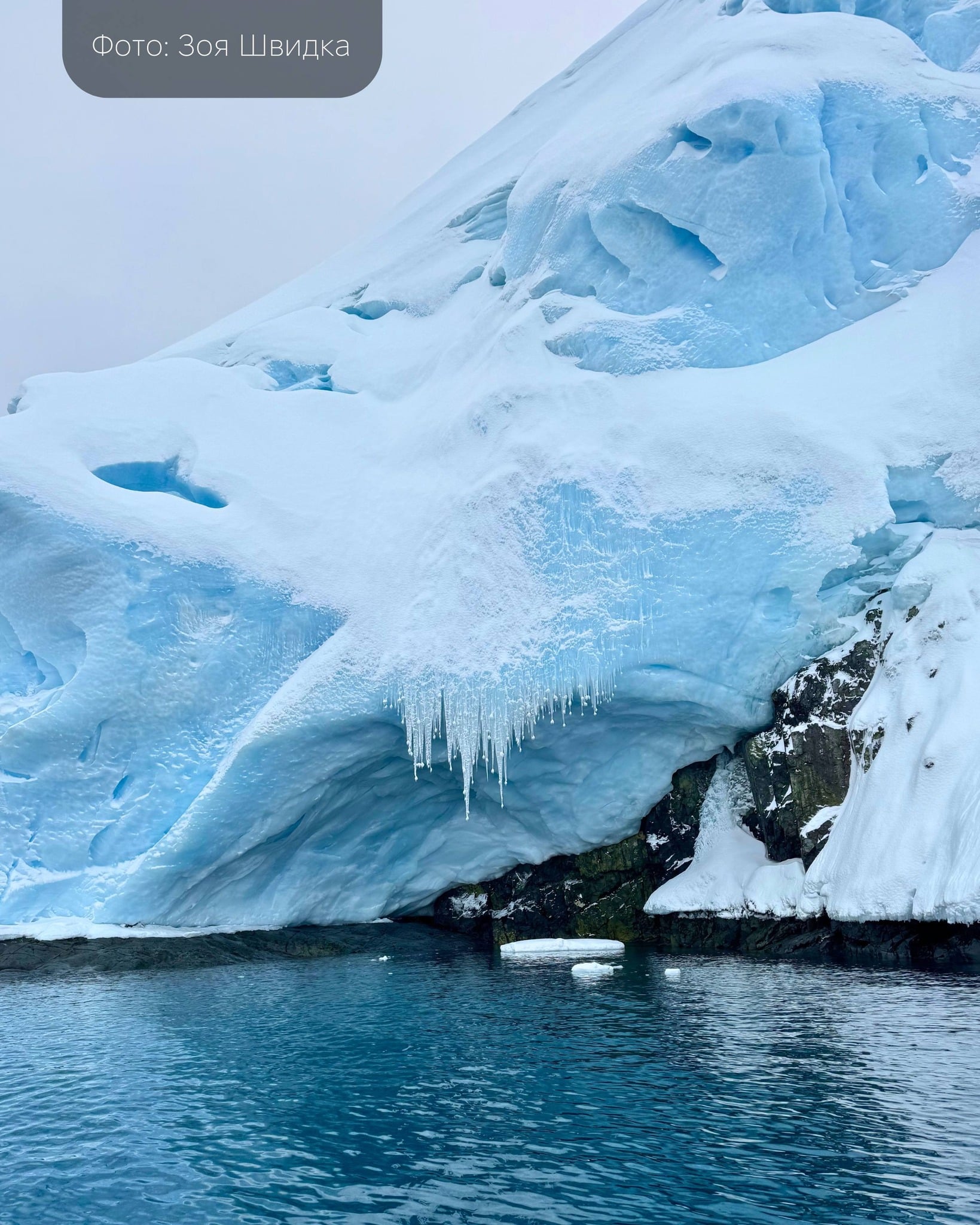 41ea1bc2 8cc0 4b86 a011 f956a1b06a80