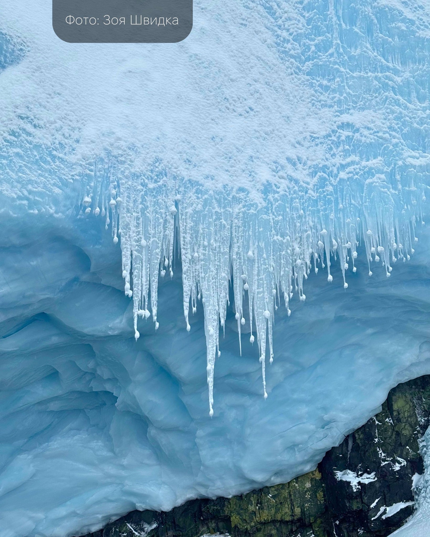 51ab94db d18a 407a a72c b78e2966a316