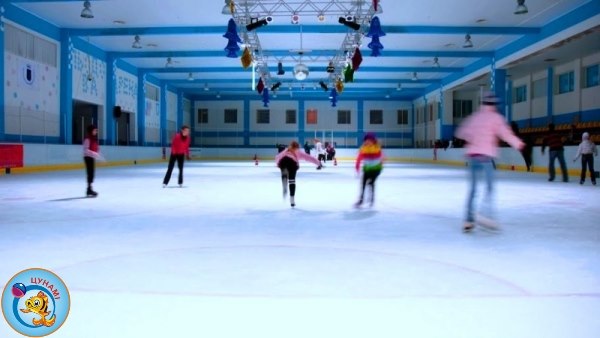 Борги, аукціони й самогубство: як "Льодова арен" у Франківську дійшла до знесення (ФОТО, ВІДЕО) 3 61747497 1180976408755664 3270292784707272704 n