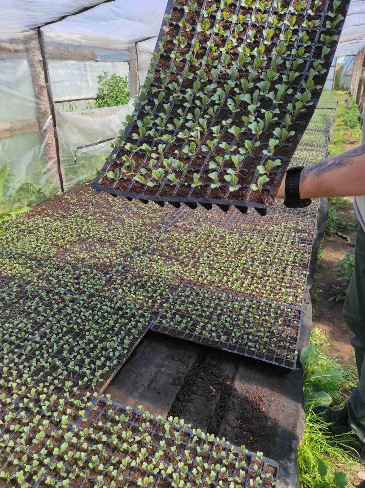 624657602 1202336758744191 7567707830572808278 n