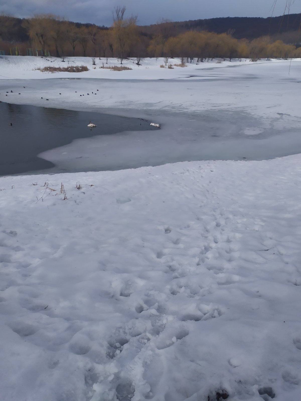 631618674 4224783024460488 5703608550613057205 n