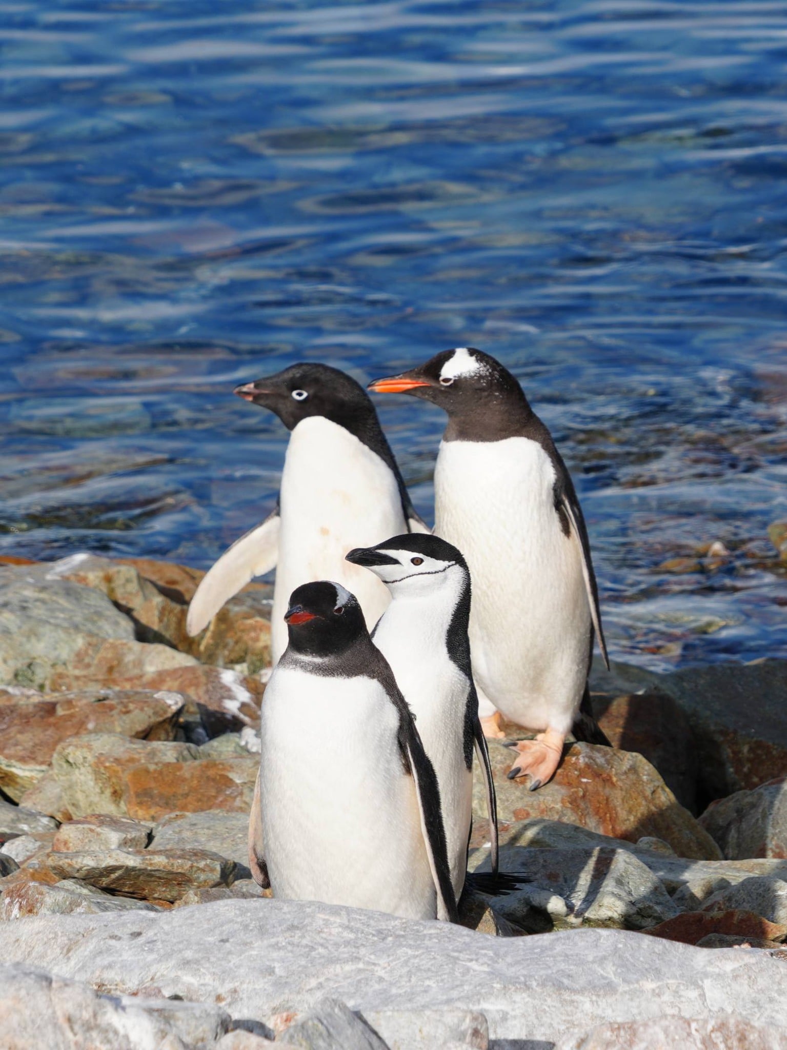 71085e0f 3282 4f47 8df5 ba5cebfdeecf