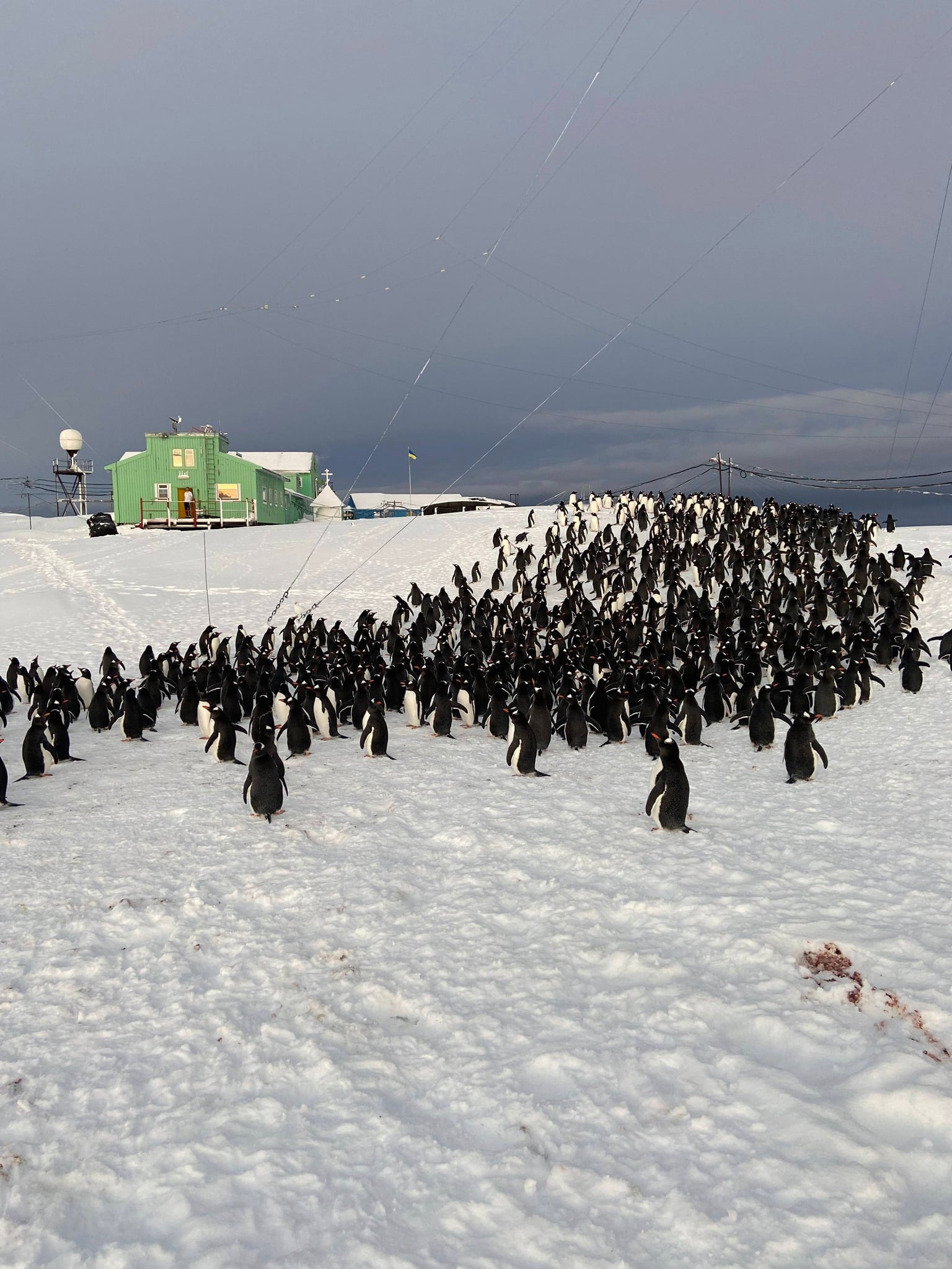 83edb43d a552 4420 8d02 318340d85941