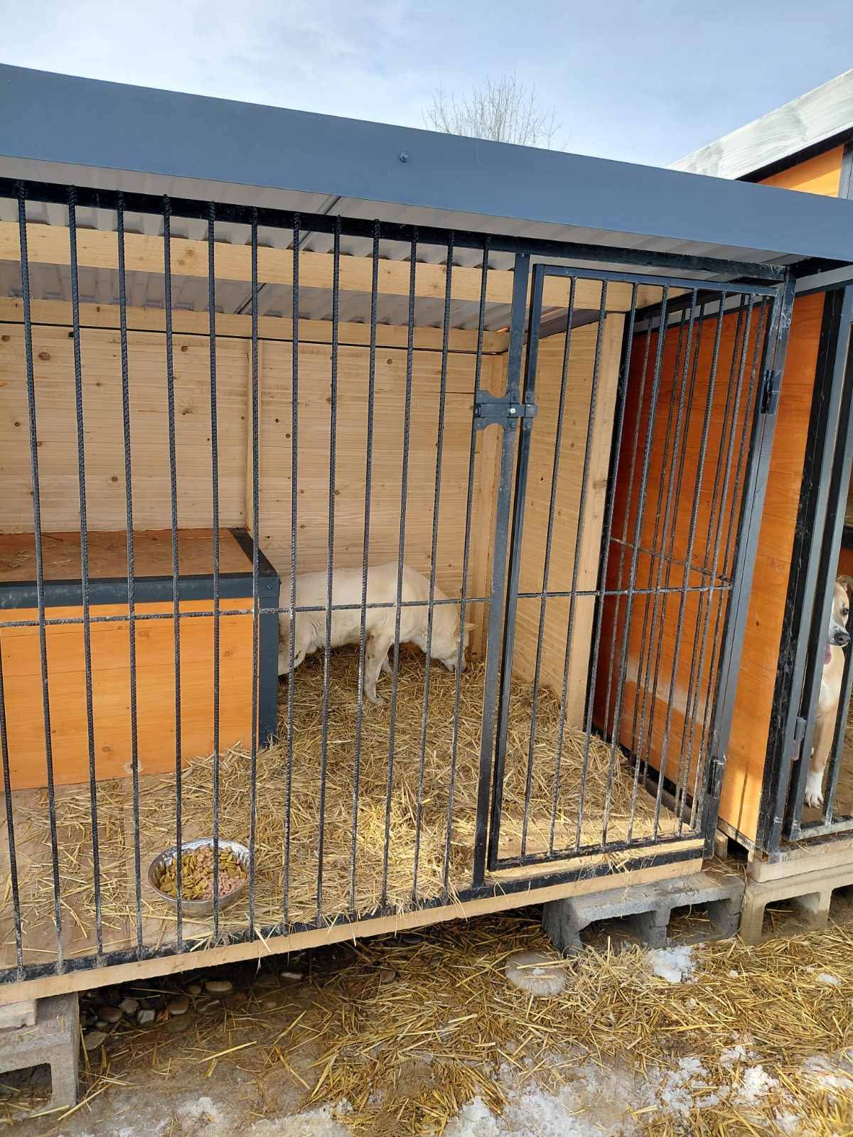 FB IMG 1771867212343