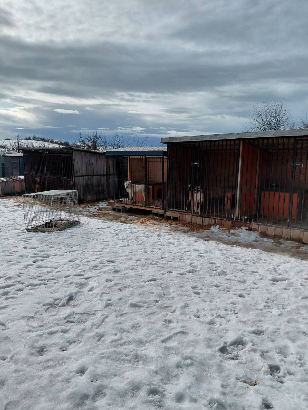 FB IMG 1771867216466