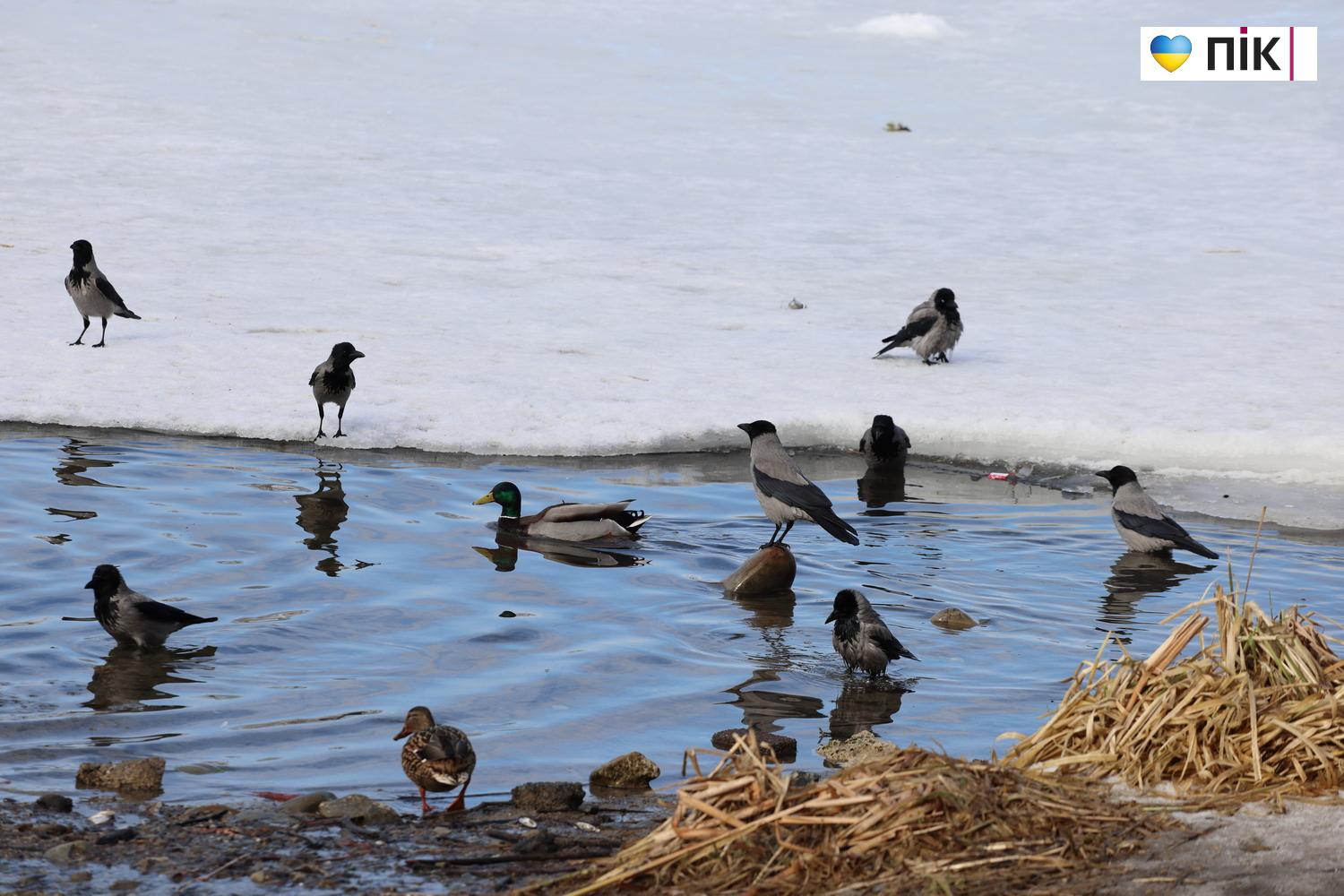 Люди Прикарпаття: вихідний день на міському озері Івано-Франківська (ФОТО) 9 G71A0320 resize