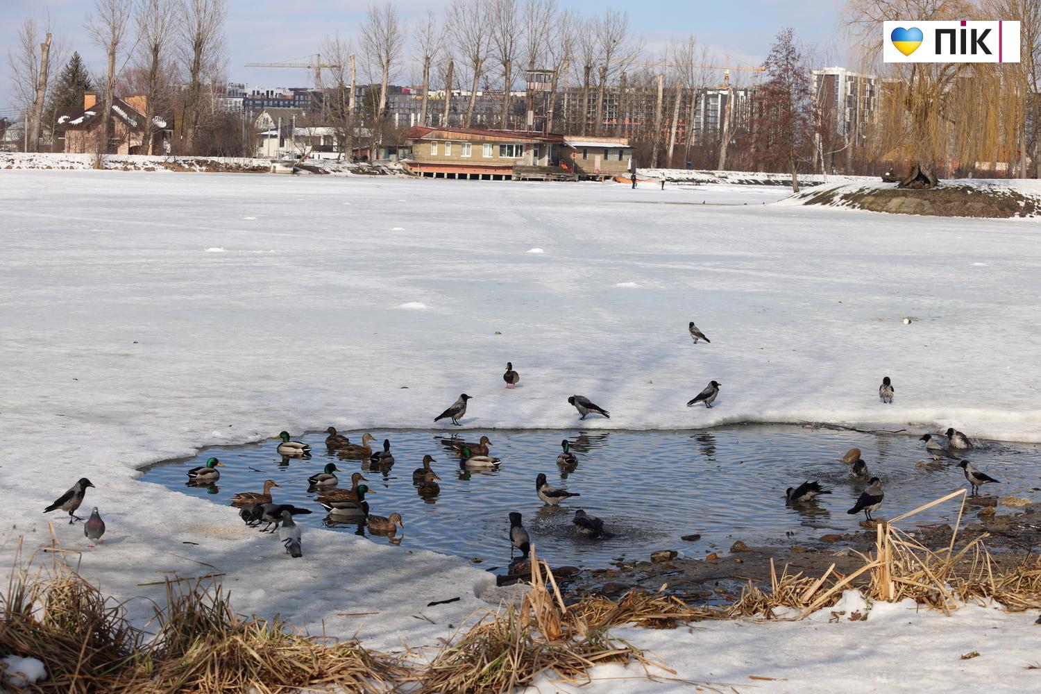 Люди Прикарпаття: вихідний день на міському озері Івано-Франківська (ФОТО) 10 G71A0440 resize