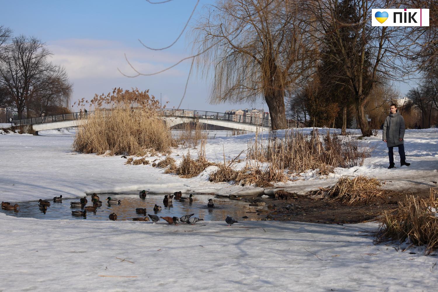 Люди Прикарпаття: вихідний день на міському озері Івано-Франківська (ФОТО) 11 G71A1055 resize