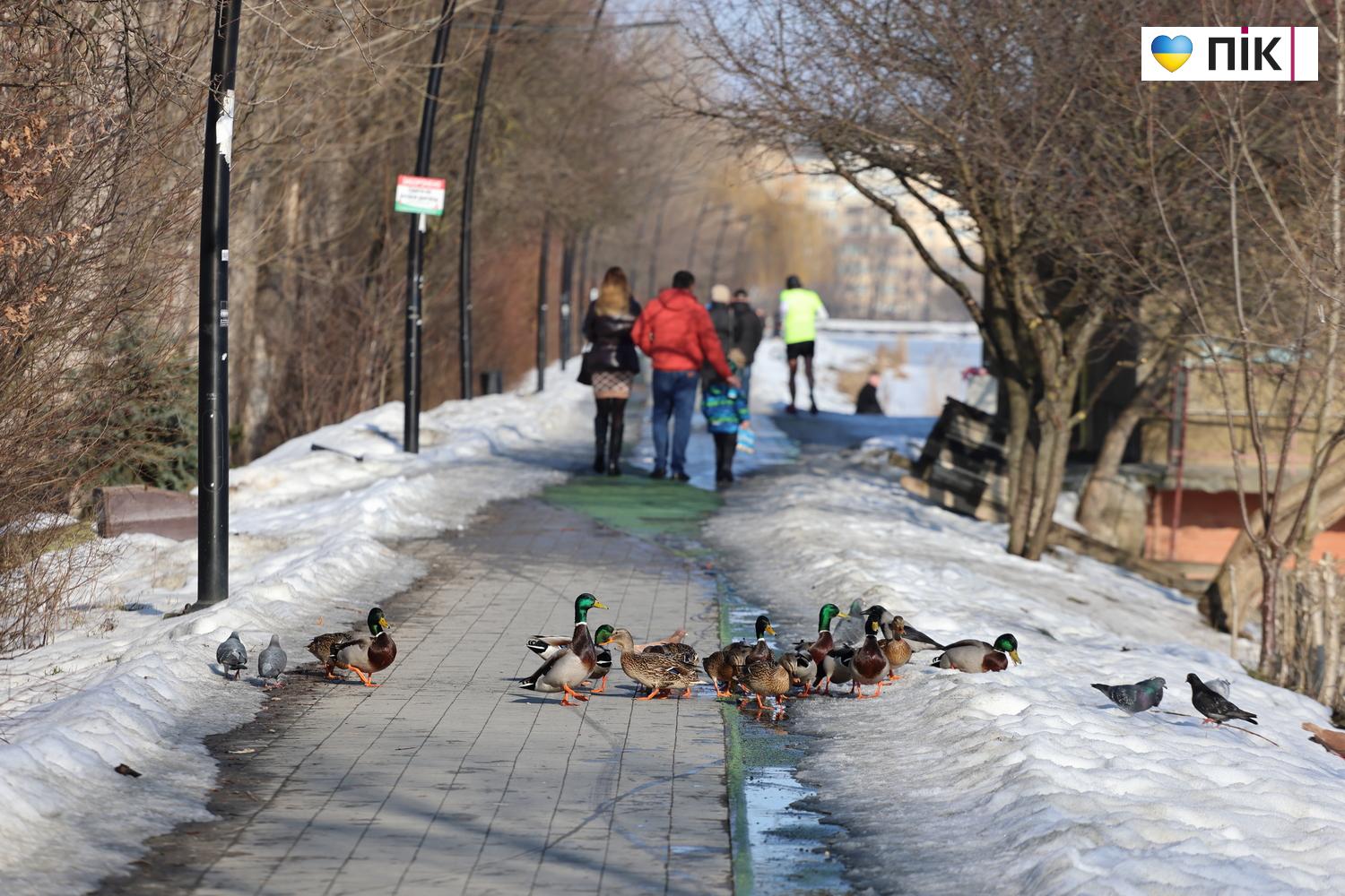 Люди Прикарпаття: вихідний день на міському озері Івано-Франківська (ФОТО) 15 G71A1415 resize