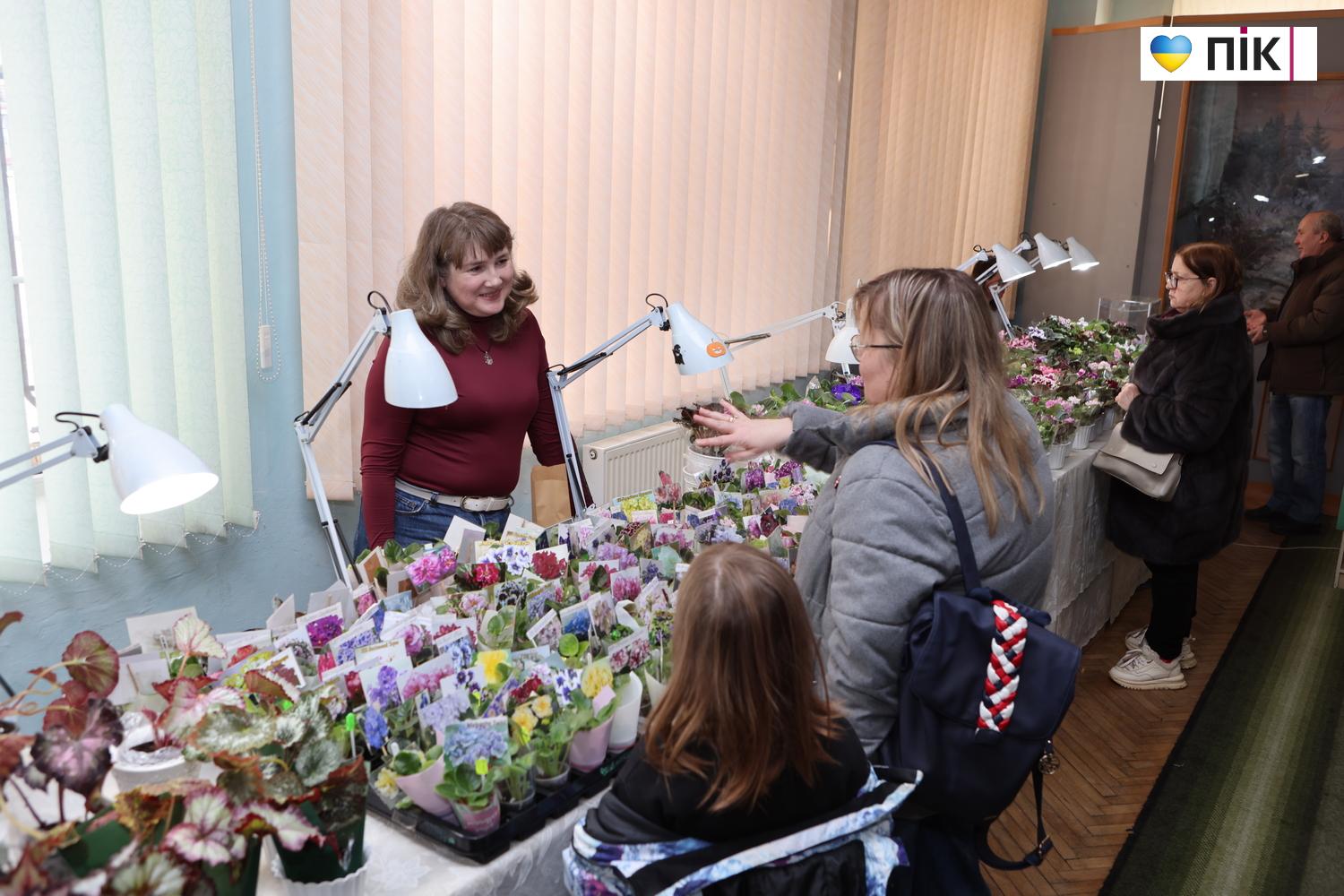 Краса посеред зими: у Франківську відкрилася виставка фіалок та кактусів (ФОТО) 4 G71A9246 resize