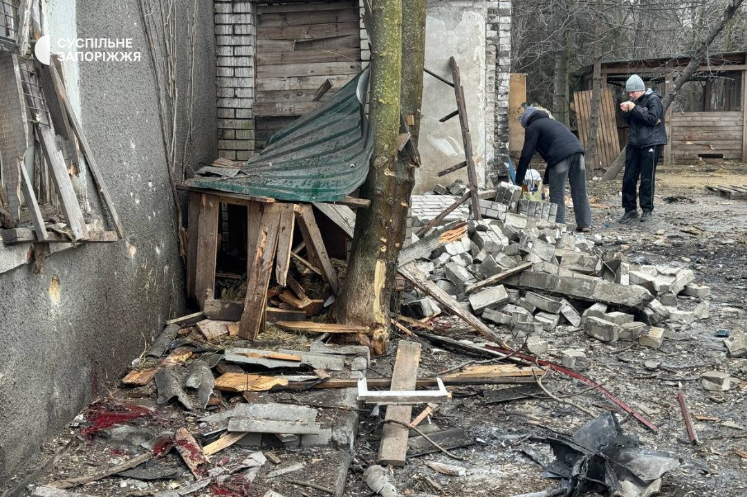 Росіяни вдарили по притулку собак у Запоріжжі (ФОТО) 3 photo 2026 02 06 14 39 15