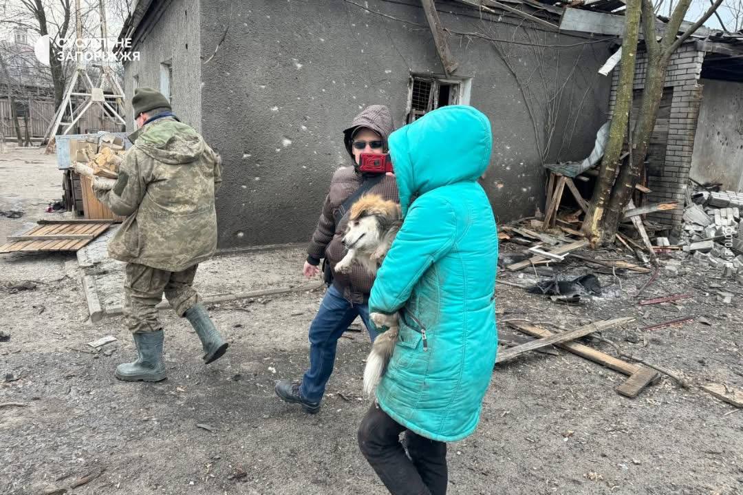 Росіяни вдарили по притулку собак у Запоріжжі (ФОТО) 2 photo 2026 02 06 15 15 58