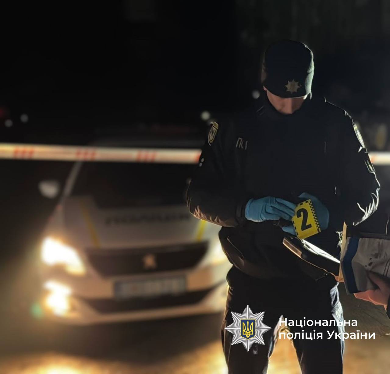 photo 5220128798483879173 y