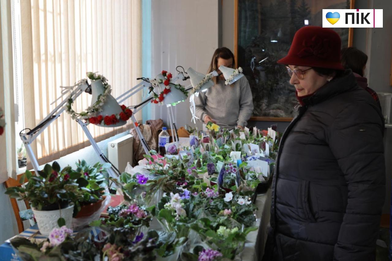 У Франківську триває благодійна виставка фіалок та кактусів (ФОТО) 15 5280939397886972354