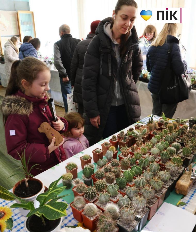 У Франківську триває благодійна виставка фіалок та кактусів (ФОТО) 14 5280939397886972356