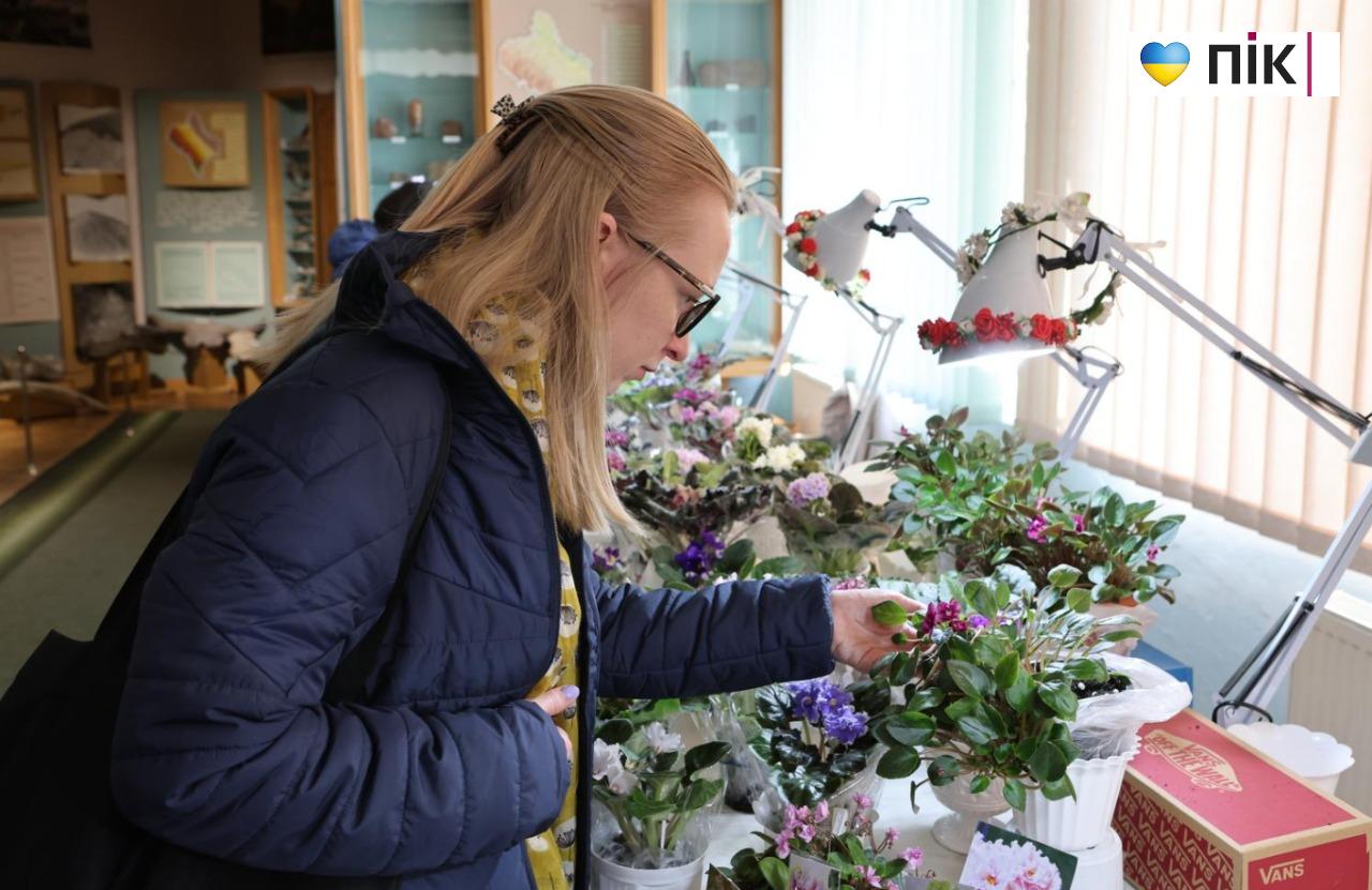 У Франківську триває благодійна виставка фіалок та кактусів (ФОТО) 9 5280939397886972365