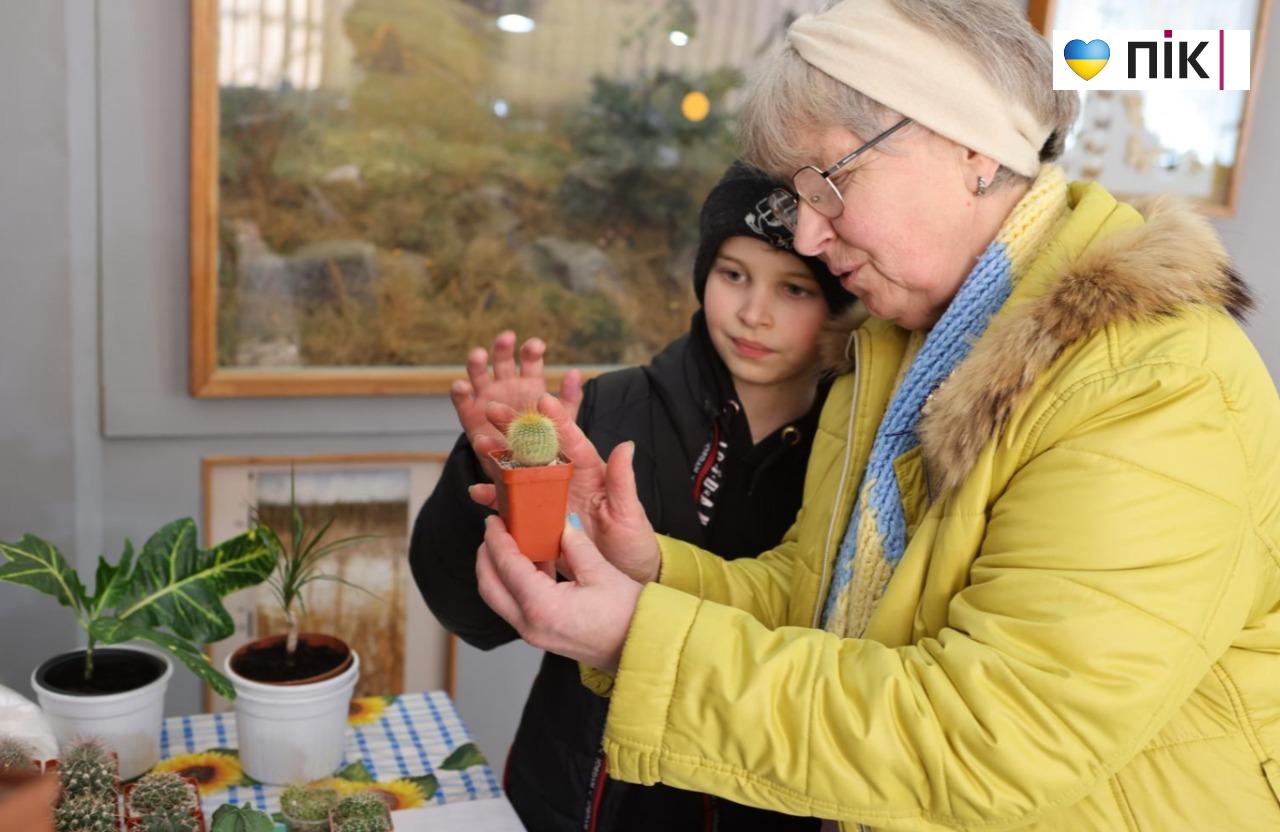 У Франківську триває благодійна виставка фіалок та кактусів (ФОТО) 3 5280939397886972379