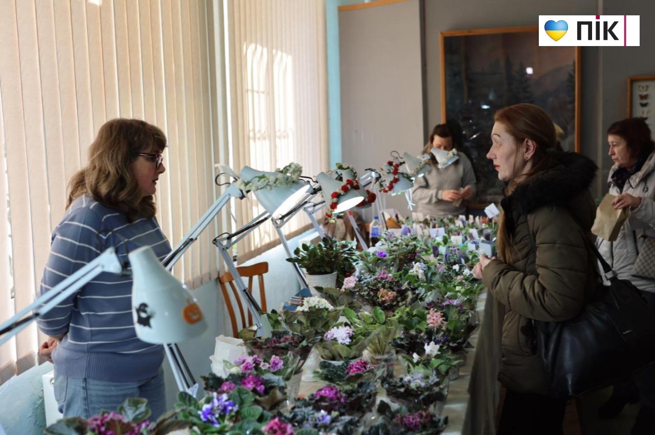 У Франківську триває благодійна виставка фіалок та кактусів (ФОТО) 2 5280939397886972380