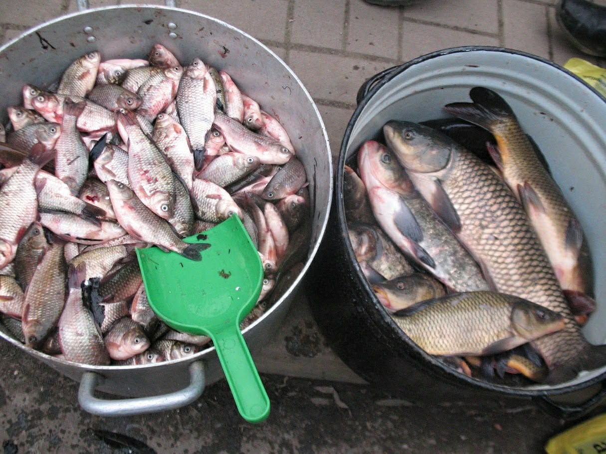 639661852 895742356602964 1937224246897025260 n