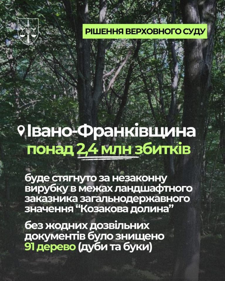 На Франківщині знищили 91 дерево: збитки понад 2,4 млн грн 11 641521698 1481615350284708 4821740153495047848 n