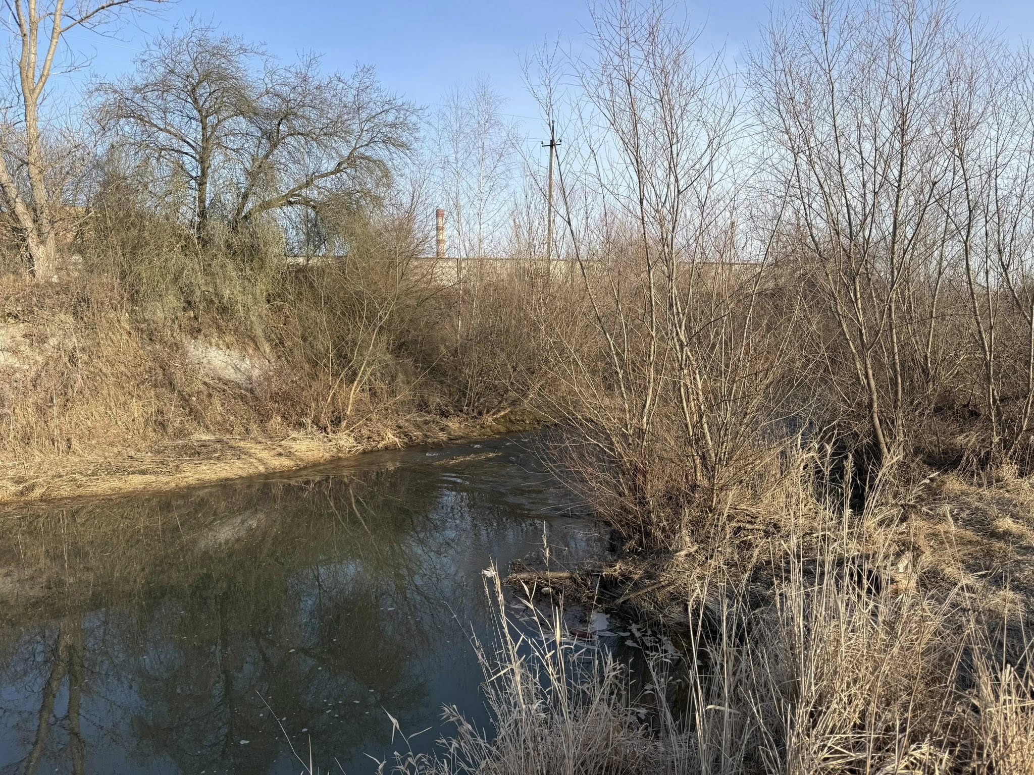 645155881 961698066381694 7968929653990304201 n