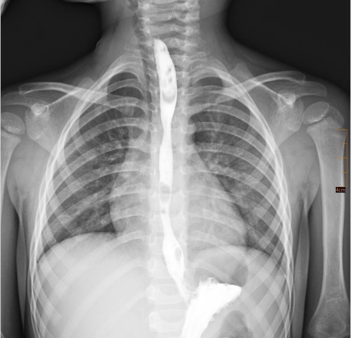 645360805 1481315853996333 6122302217022012277 n