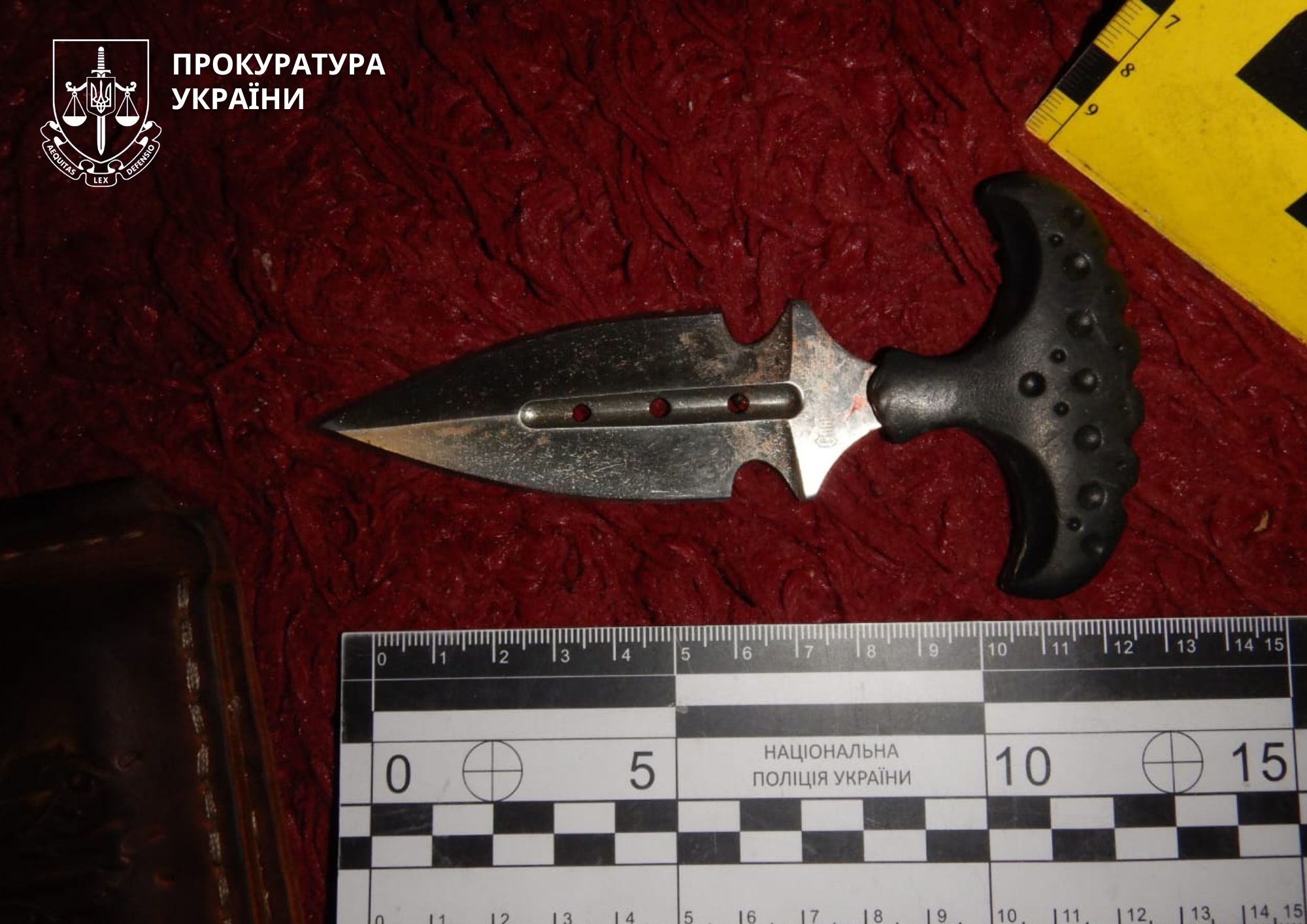 645432927 957559713284643 4062918048203970616 n