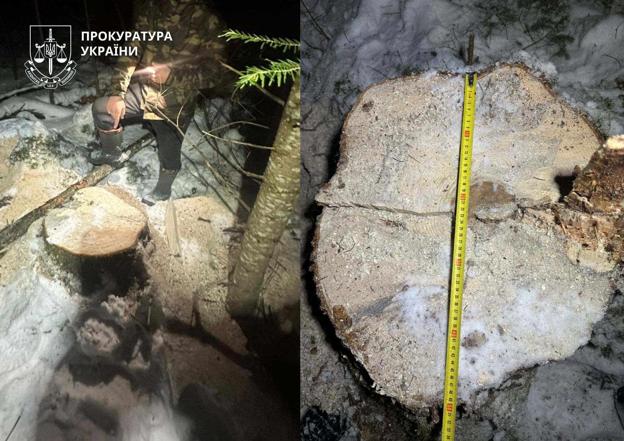 ФОТО: Прокуратура України