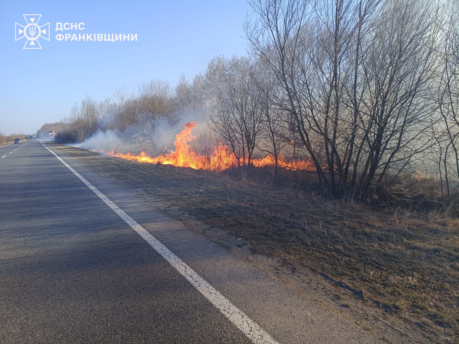 За добу на Прикарпатті горіли понад 10 га територій (ФОТО) 1 650403996 1230555559233805 1904772411945326289 n