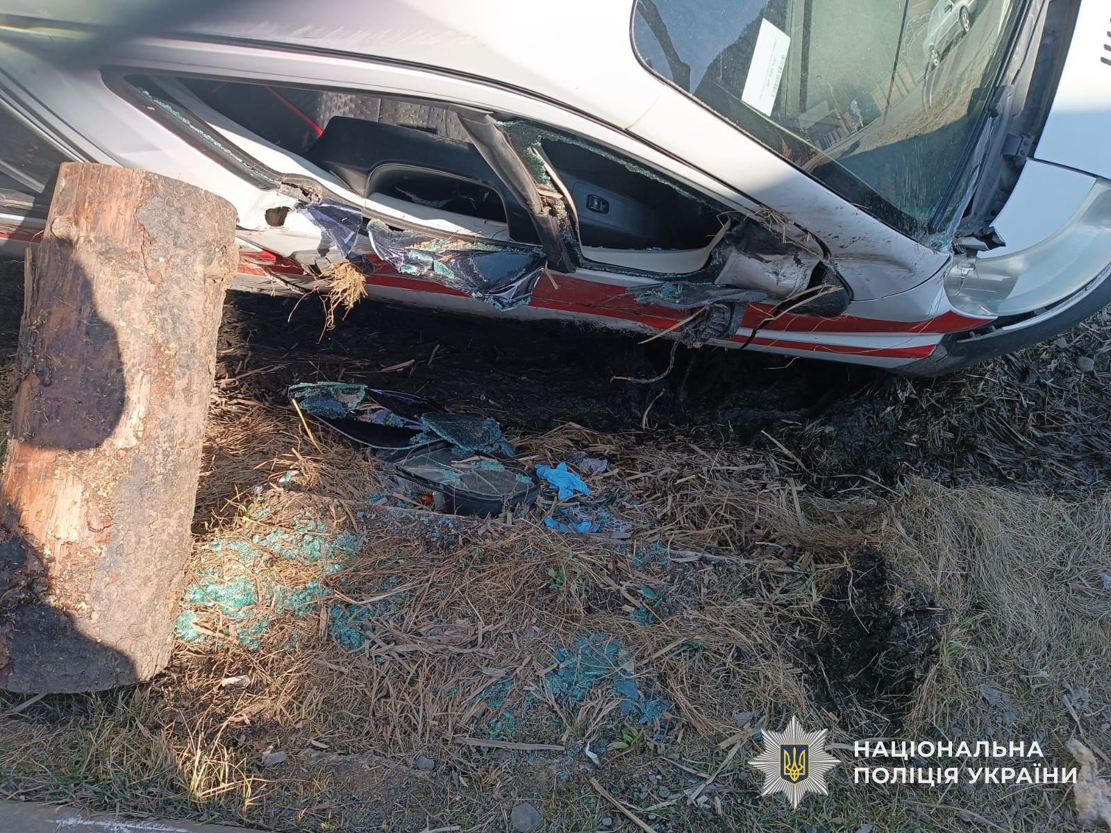 650500832 1380684467428329 1221419297882485371 n