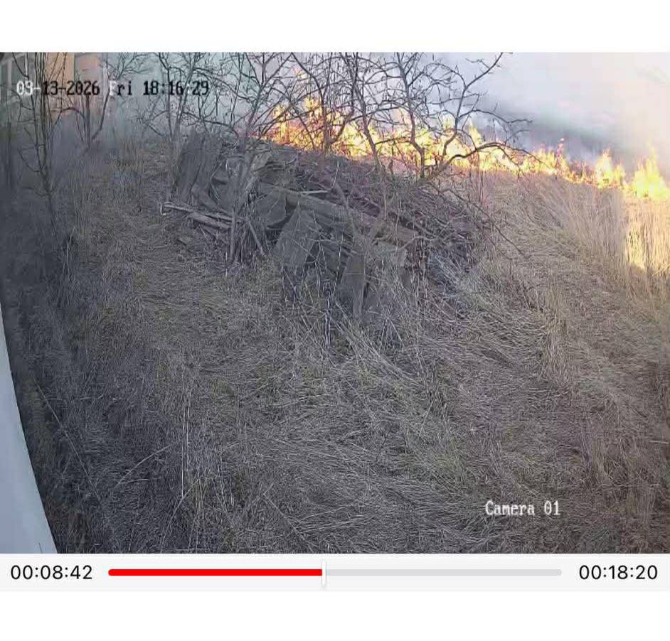 651753084 1552931046838432 7732331841323852697 n