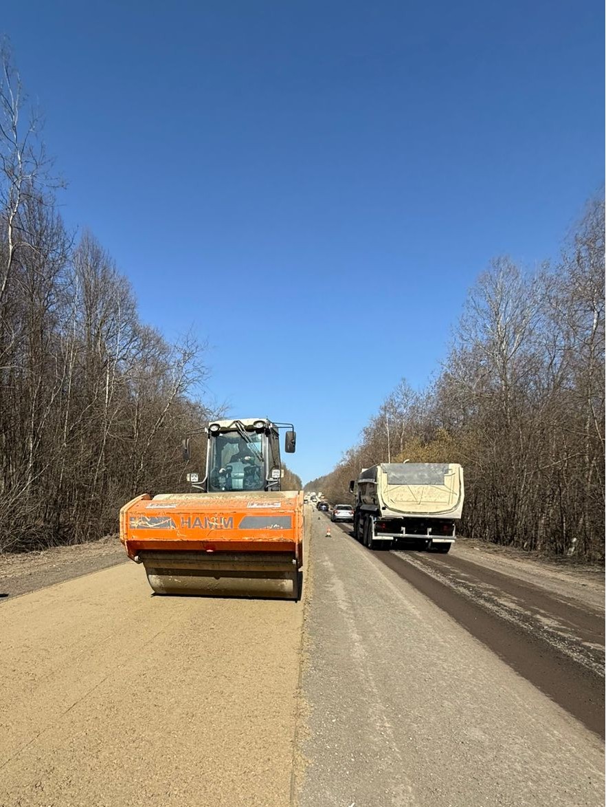 653425199 1230471925912762 5700843203569146168 n