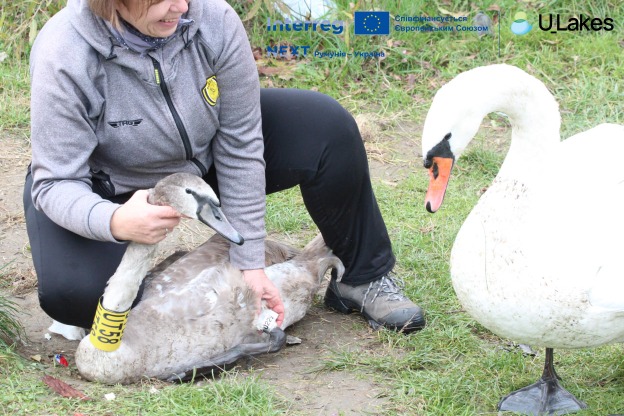 653705987 1322066269977988 1894798423543273 n