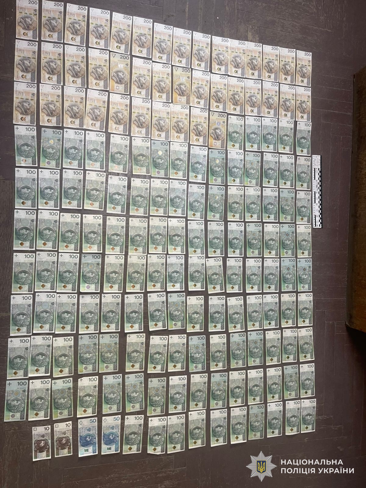 655738347 1368825091955925 3194028943435461519 n