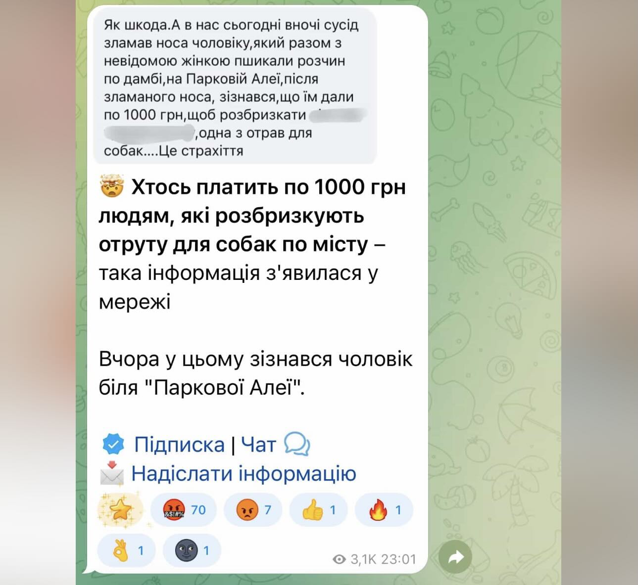 656244221 17882237469493422 5362734748753561244 n