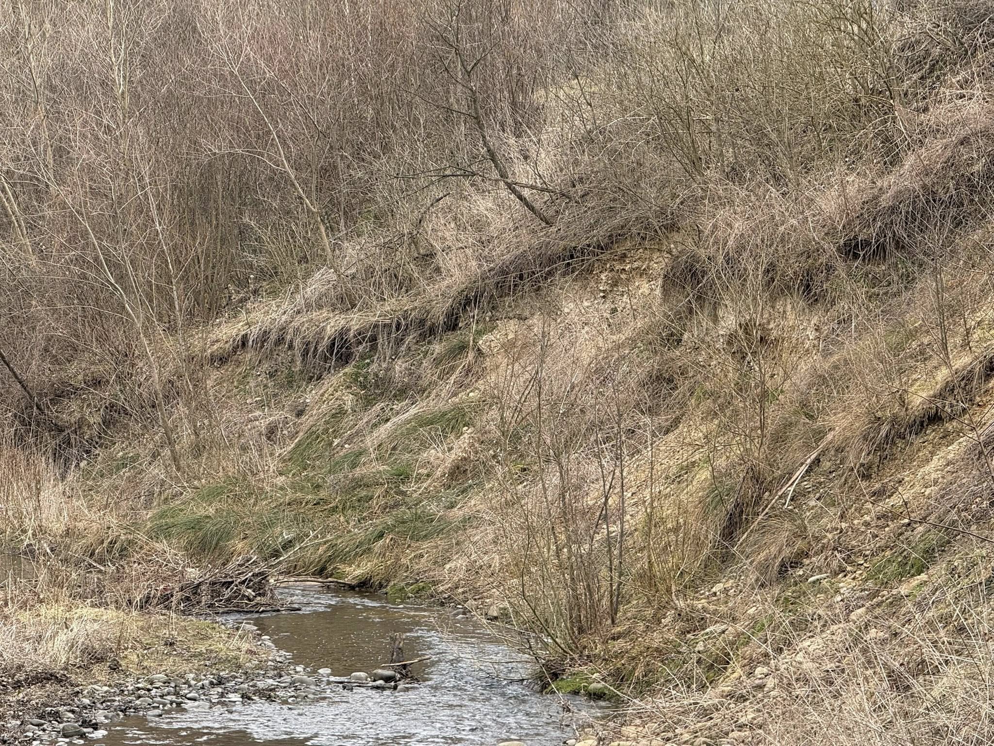 658147401 122159307488701970 4433051608007836238 n 1