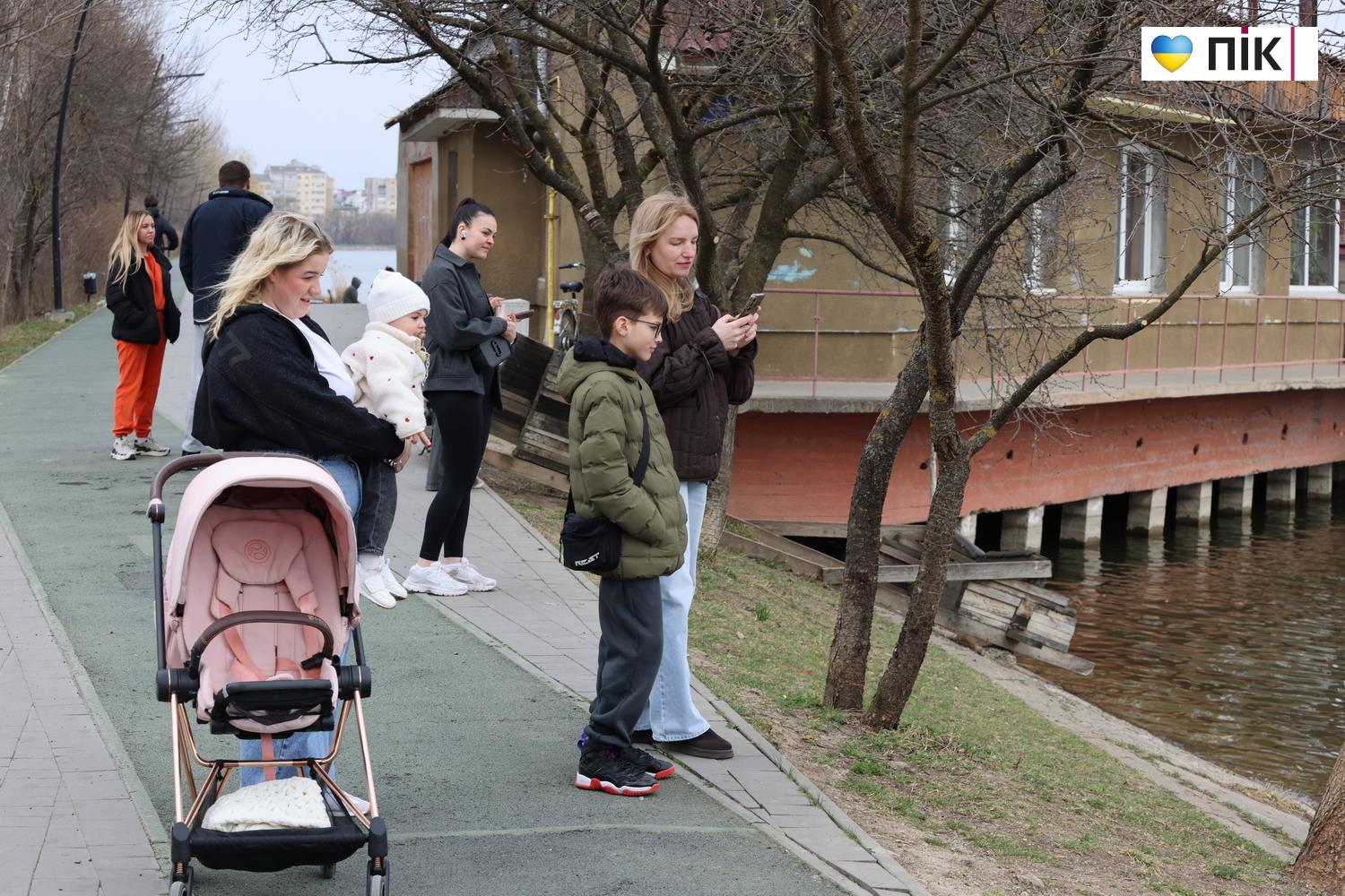 Нутрії: маленькі та великі жителі на міському озері у Франківську (ФОТО) 38 G71A5274 resize
