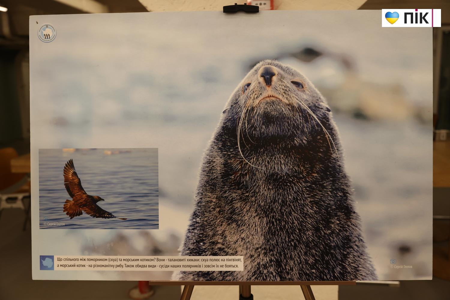 У Франківську вперше презентували виставку про життя українських полярників (ФОТО) 26 G71A5938 resize