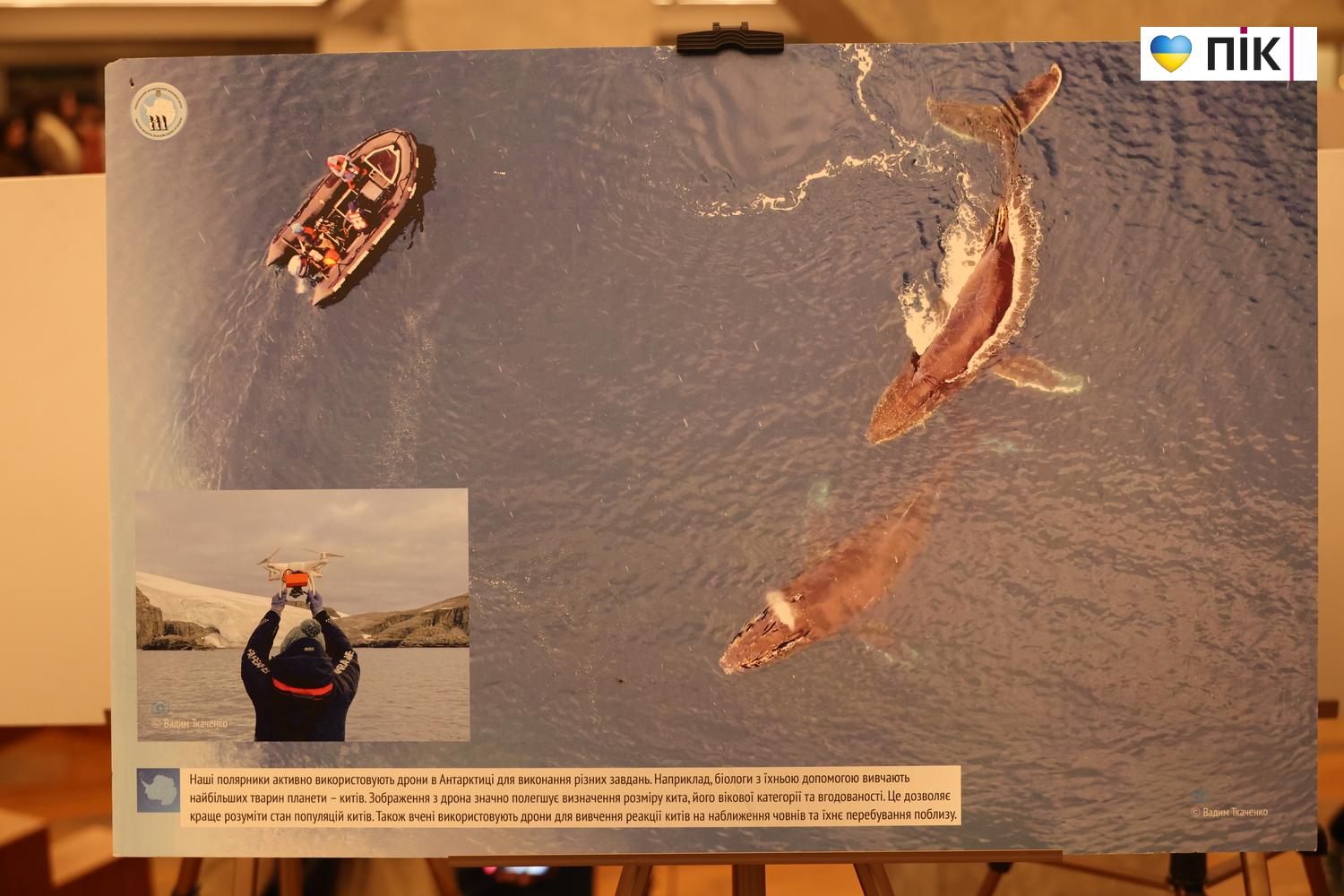 У Франківську вперше презентували виставку про життя українських полярників (ФОТО) 20 G71A5944 resize